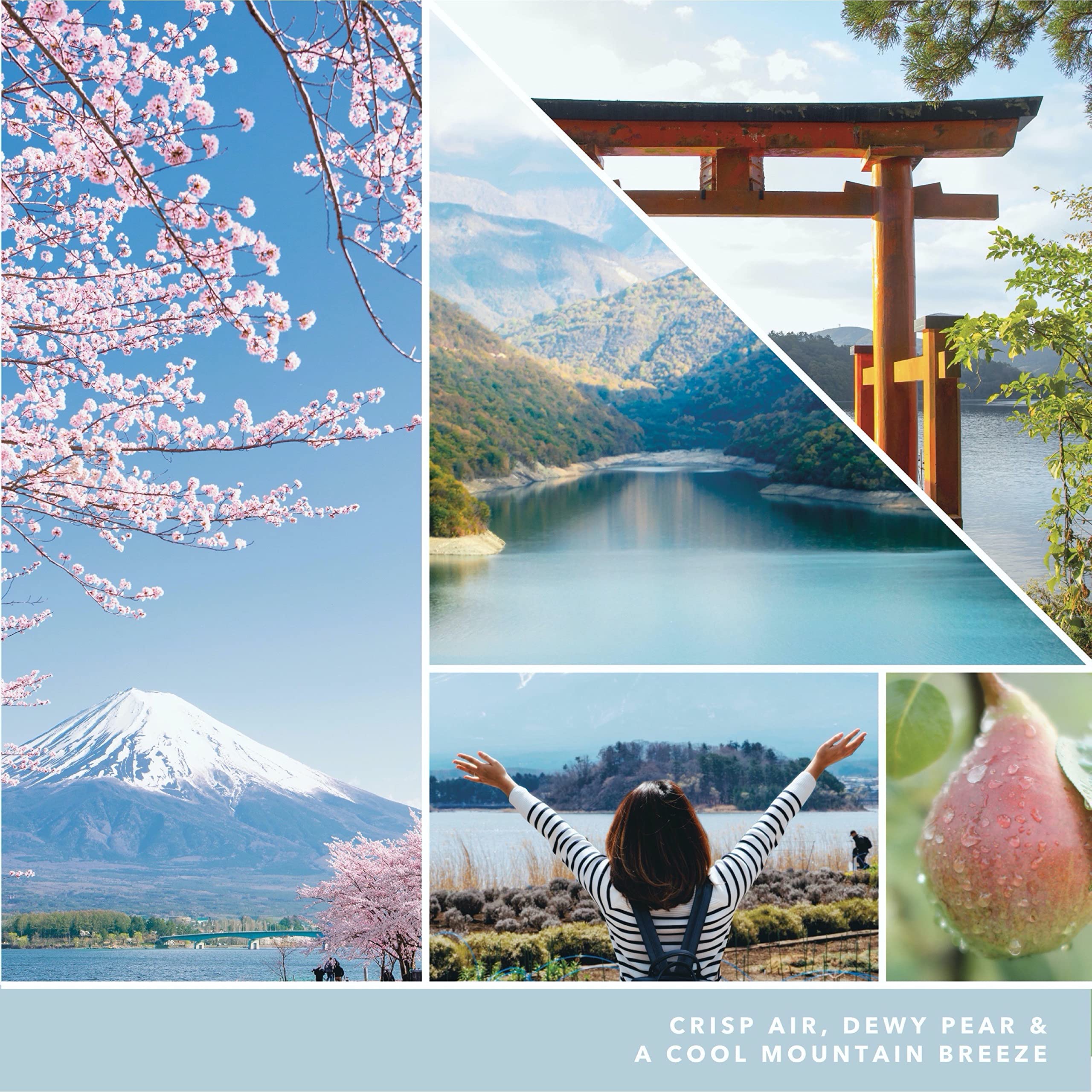 Amazon.com: Yankee Candle Majestic Mt. Fuji Large Jar Candle,Light